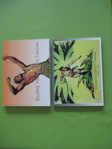 Burne hogarth tarzan comic - tarzan,